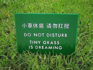 Funny-Chinese-Mistranslation-11